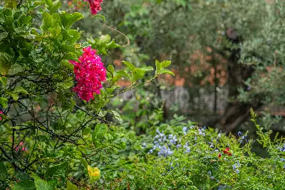 Villa in vendita, Via Antonello da Messina, San Gregorio di Catania