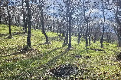 Agricolo in vendita, Contrada Tufarole, Contrada