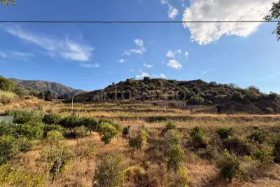 Agricolo in vendita, Via Provinciale per Armo-Gallina, Reggio di Calabria