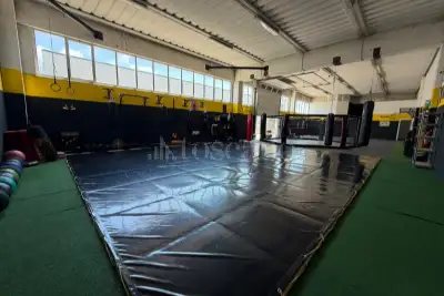 Capannone in vendita, Via Aldo Moro, Ladispoli