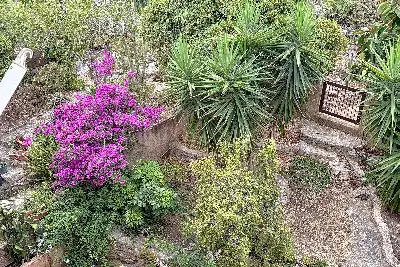 Villino a Schiera in vendita, Via degli Anemoni, Alghero