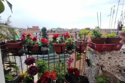 Casa in affitto, Via Alessandro Pieri, Roma