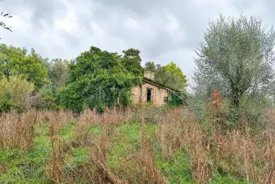 Casa Indipendente in vendita, Via Casorzo, Roma