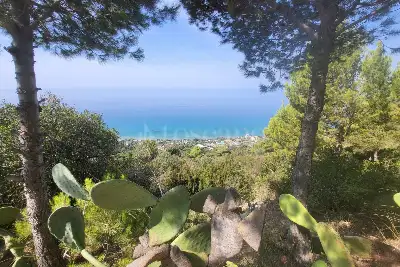 Agricolo in vendita, Località Vignole, San Mauro Cilento