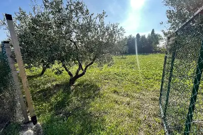Agricolo in vendita, Via Francesco Baracca , Martinsicuro, Martinsicuro
