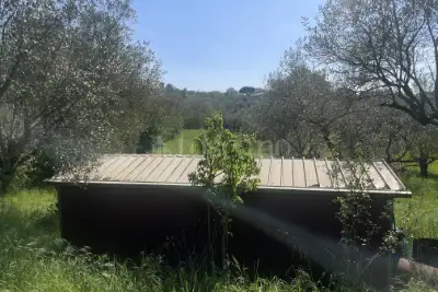 Agricolo in vendita, Strada Cassia Sud, Viterbo
