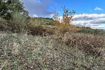 Agricolo in vendita, Via Cristoforo Colombo, Florinas