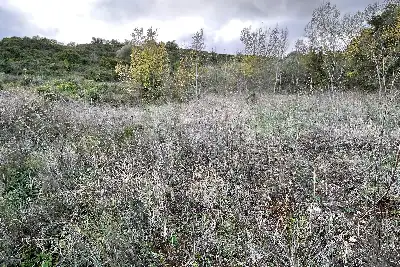 Agricolo in vendita, Via Cristoforo Colombo, Florinas