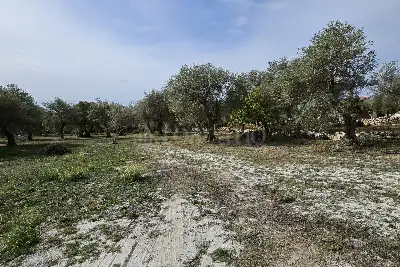 Edificabile Residenziali in vendita, Strada Vicinale Rizzeddu Gioscari 4, Sassari