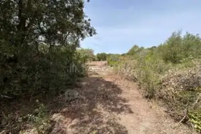 Agricolo in vendita, Telti via Monti Longu., Telti