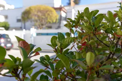 Villino a Schiera in vendita, VIALE XXI APRILE 16, Latina