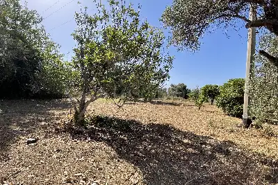 Casa Indipendente in vendita, C/da Malapezza Spartà, Messina