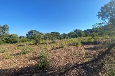 Edificabile Residenziali in vendita, Loiri porto san Paolo, La castagna, via del mandorlo, Loiri Porto San Paolo