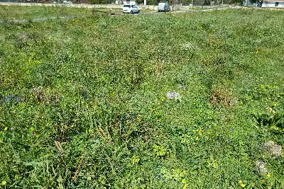 Agricolo in vendita,  , Lentini, Lentini