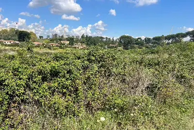 Edificabile Residenziali in vendita, Via Trotula de Ruggiero, Roma