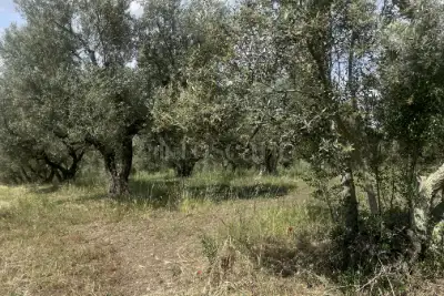 Agricolo in vendita, Strada Cassia Sud, Viterbo