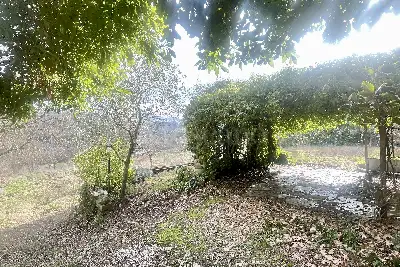 Agricolo in vendita, Strada Valle Cerasola, Viterbo