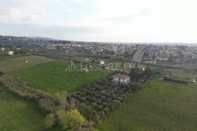 Villa in vendita, Via Di Quarto Rubbie, Roma