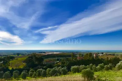 Agricolo in vendita, Via Furbara Sasso, Cerveteri