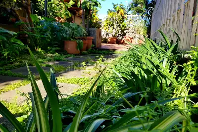 Casa in vendita, Via Serve della Divina Provvidenza, Catania