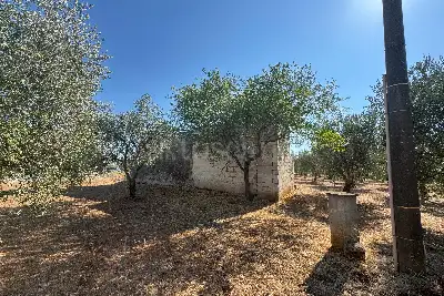 Villa in vendita, contrada Santa Caterina Grottone, Ostuni