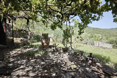 Casa in vendita, Via Valli, Sovicille