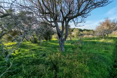 Capannone in vendita, SS16, Brindisi