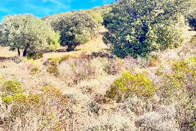 Agricolo in vendita, Trudda , Loiri Porto San Paolo