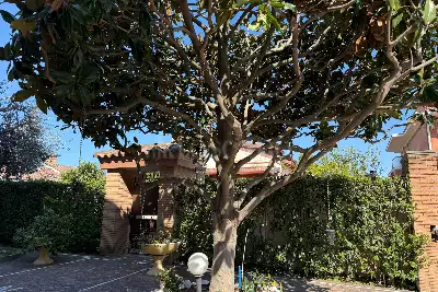 Villa in vendita, Via M. Erasi, Fiumicino