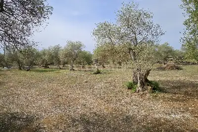Edificabile Residenziali in vendita, Strada Vicinale Rizzeddu Gioscari 4, Sassari