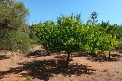 Casa Indipendente in vendita, Contrada Grottone, Ostuni