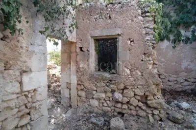 Agricolo in vendita, Noto, Noto