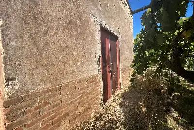 Agricolo in vendita, Strada Provinciale 62, Cerignola