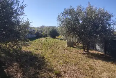 Agricolo in vendita, Vicolo della Patatona , Ciampino