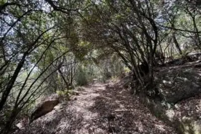 Agricolo in vendita, Telti via Monti Longu., Telti