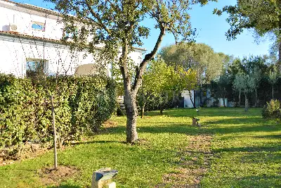 Villa Bifamiliare in vendita, Olbia , zona Sa Minda Noa ., Olbia