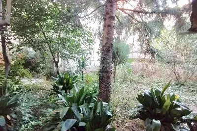 Casa Indipendente in vendita, Piazza Tebaldo Brusato, Brescia