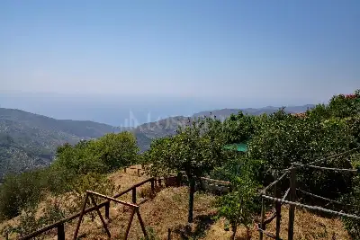 Villa Plurifamiliare in vendita, Via Sorrentini, San Mauro Cilento