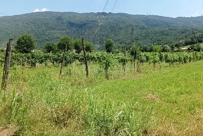 Agricolo in vendita, Località Prada , Nave