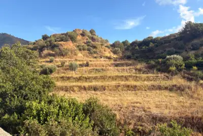 Agricolo in vendita, Via Provinciale per Armo-Gallina, Reggio di Calabria