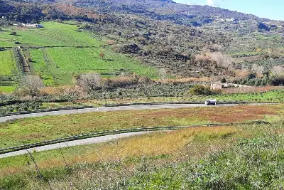 Agricolo in vendita, Località Caria Girifalco, Girifalco