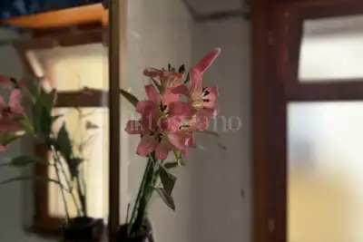 Casa in vendita, Via dell'Appagliatore, Roma