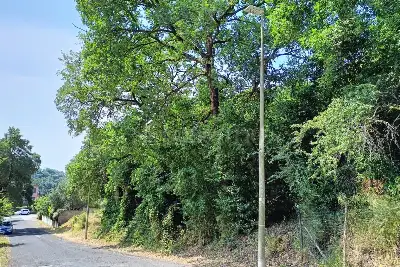 Agricolo in vendita, Via Sozzago, Roma