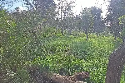 Casa Indipendente in vendita, Via Piano Neve, Buseto Palizzolo