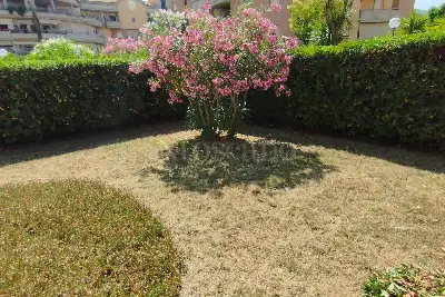 Casa in vendita, Via Petrarca, Montesilvano