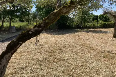 Casa Indipendente in vendita, Via Rocco Pellettieri, 21 località San Giovanni, Viggiano (PZ), Viggiano
