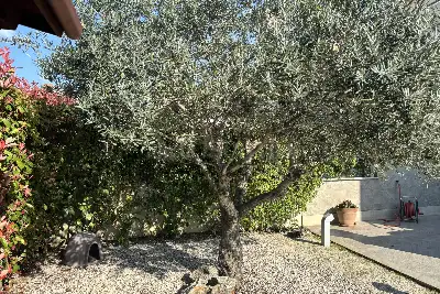 Villa Plurifamiliare in vendita, Viale Hugo Pratt, Roma