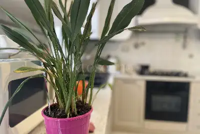 Casa in vendita, lungomare duca degli abruzzi, Roma