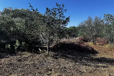 Edificabile Residenziali in vendita, Via Mar Egeo. Pittulongu, Olbia
