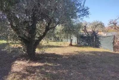 Agricolo in vendita, Vicolo della Patatona , Ciampino